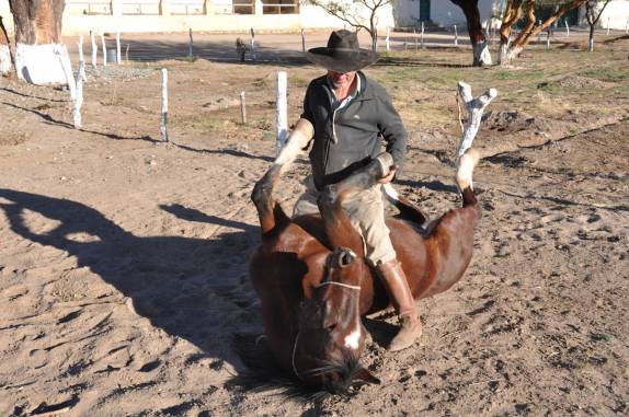 O Miguel nos mostrando seus truques om cavalos, em Molinos - Argentina
